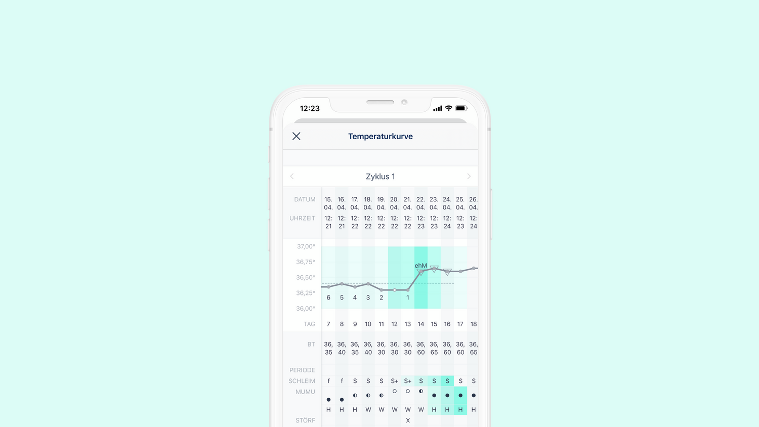 Basaltemperatur Zykluskurve Temperaturkurve
