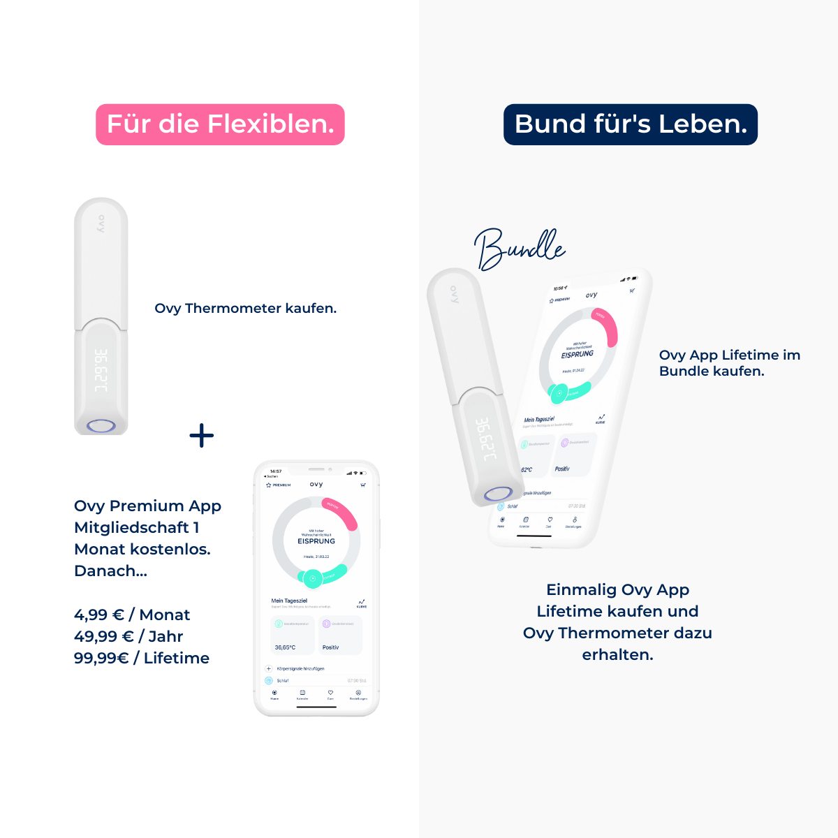 Bluetooth Basalthermometer