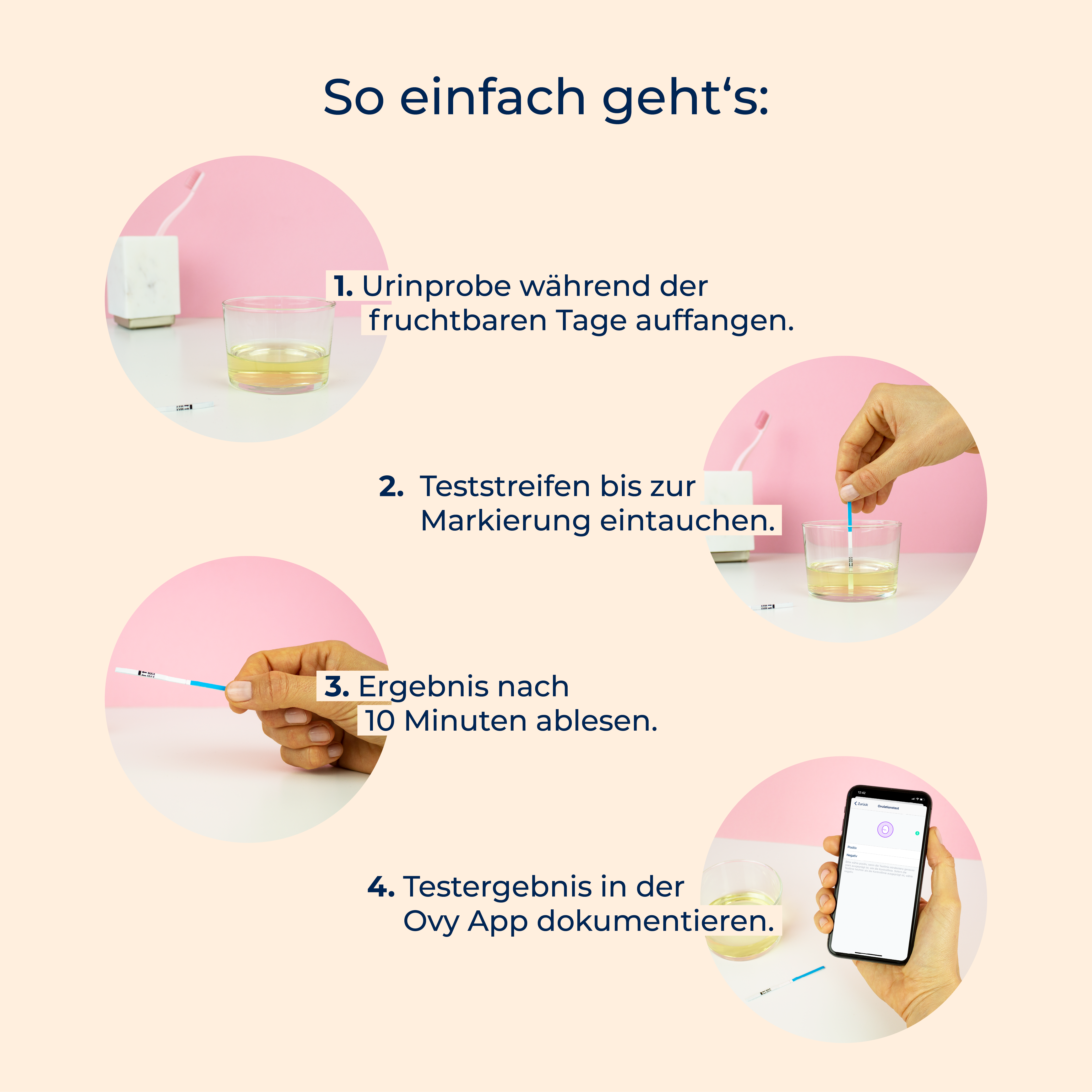 Ovulation Test Strips