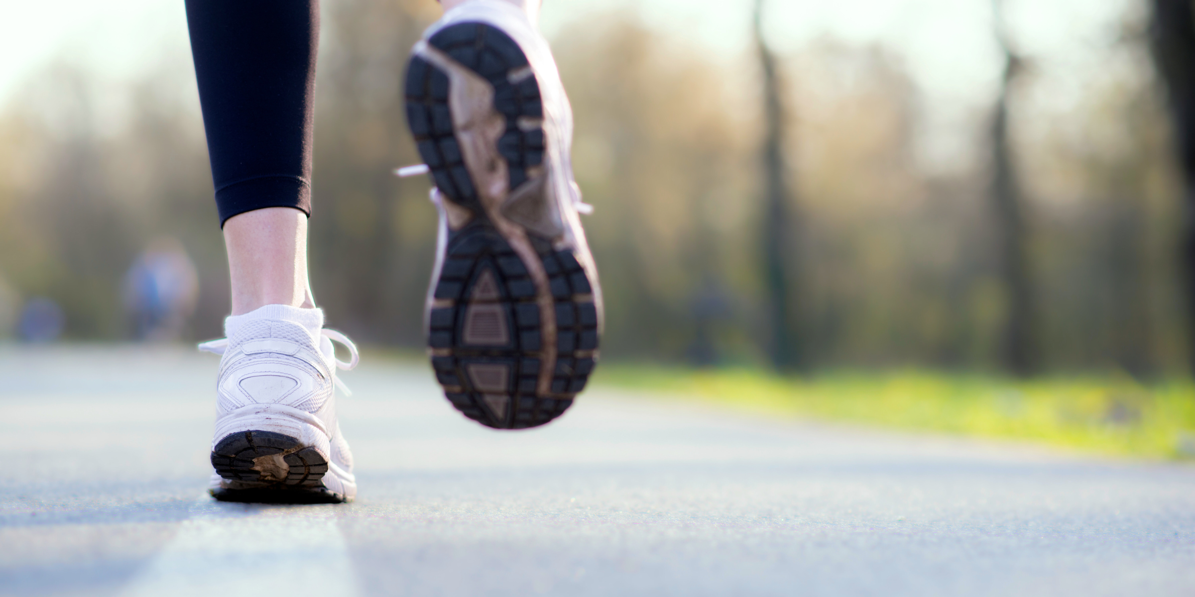 So wirken sich Hormone auf deinen Trainingserfolg aus