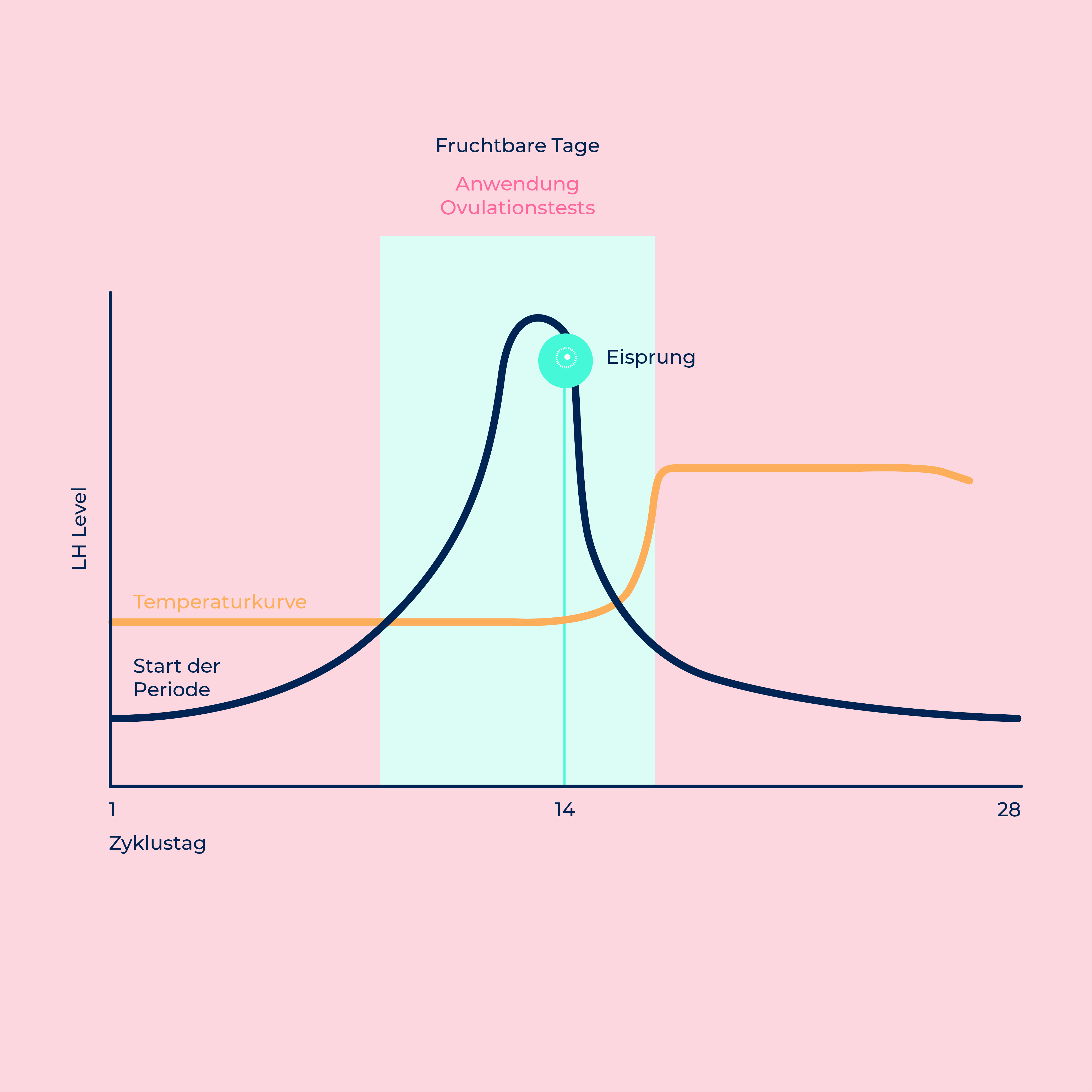 ​Ovulation Test Strips